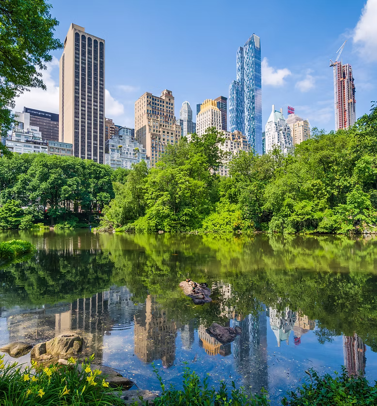 tall buildings with lake view